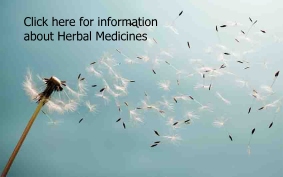 Information about Herbal Remedies