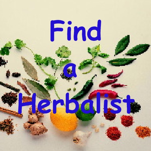 find a herbalist